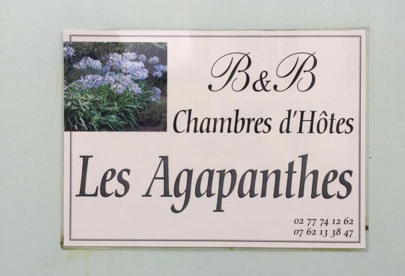 B&b Les Agapanthes