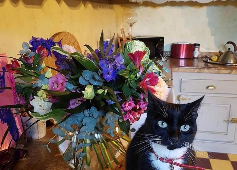 צימר Chez Louise