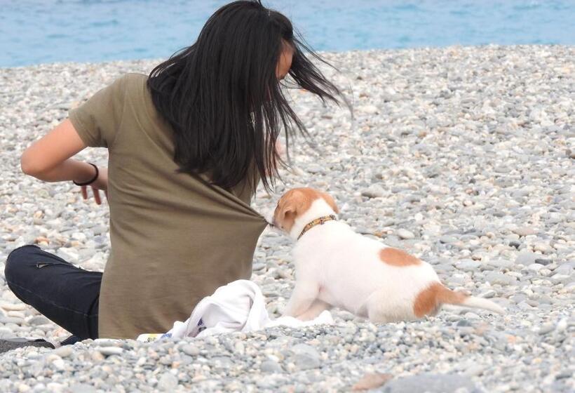 تختخواب و صبحانه Hai Yuansu 178