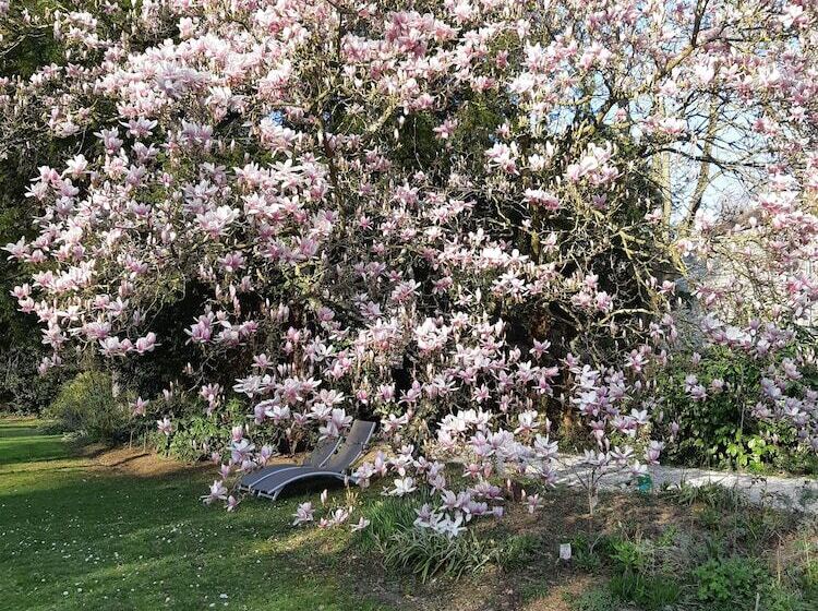 צימר La Maison Dans Le Parc