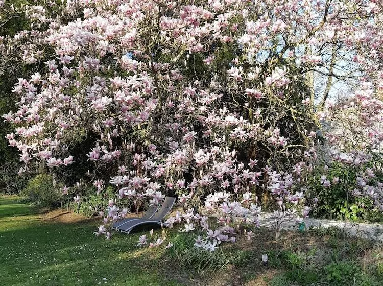 ベッドアンドブレックファースト La Maison Dans Le Parc