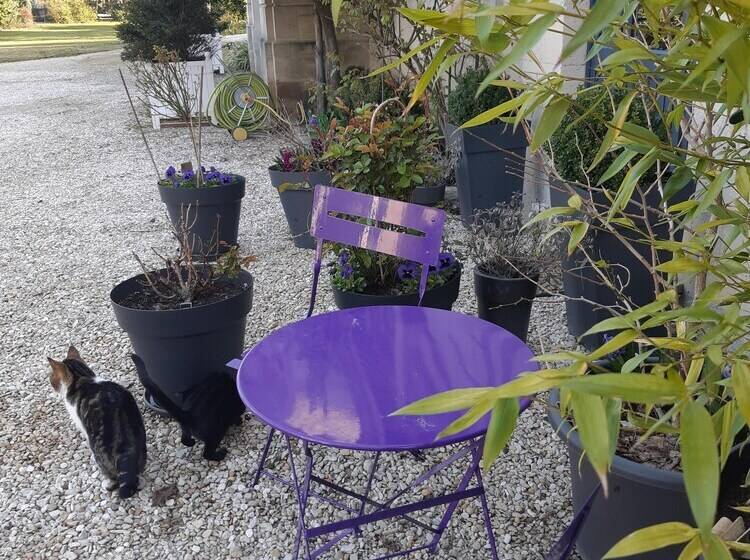 צימר La Maison Dans Le Parc