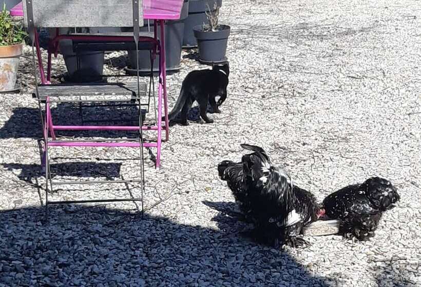 צימר La Maison Dans Le Parc