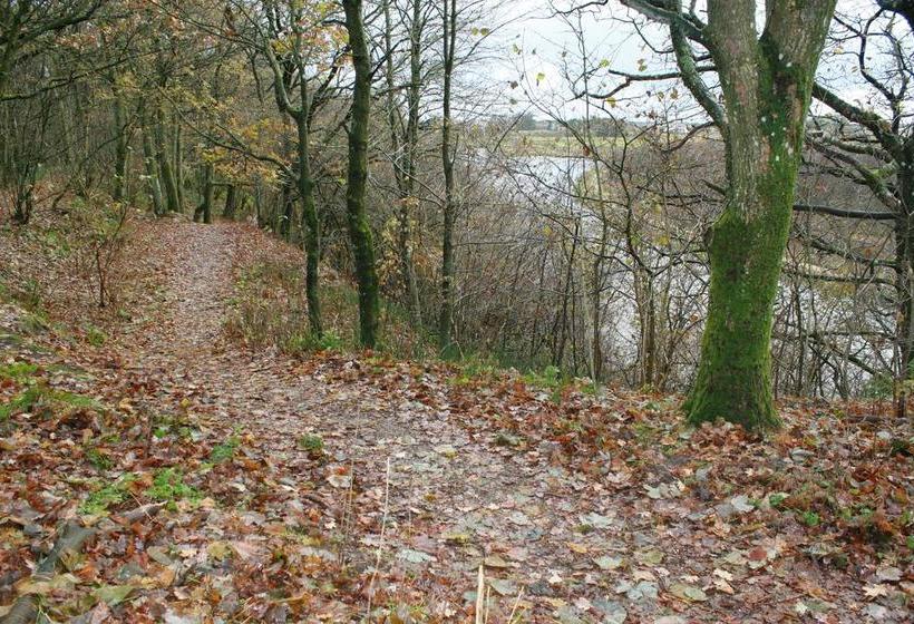 Mejrup Bed And Breakfast