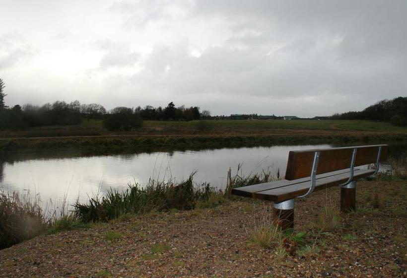 Mejrup Bed And Breakfast