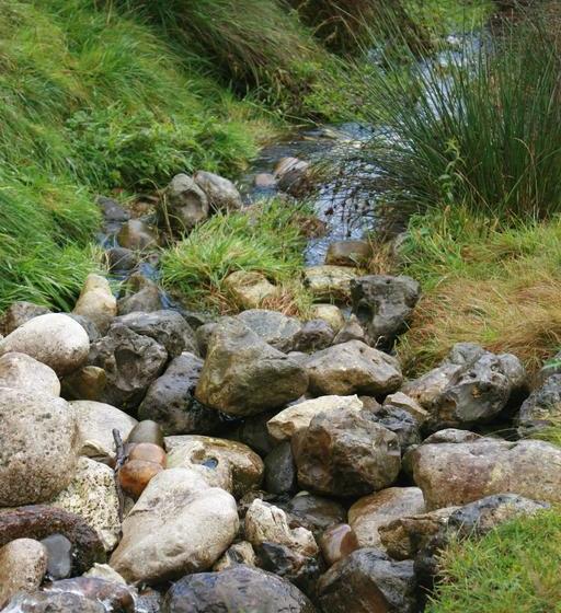 Mejrup Bed And Breakfast