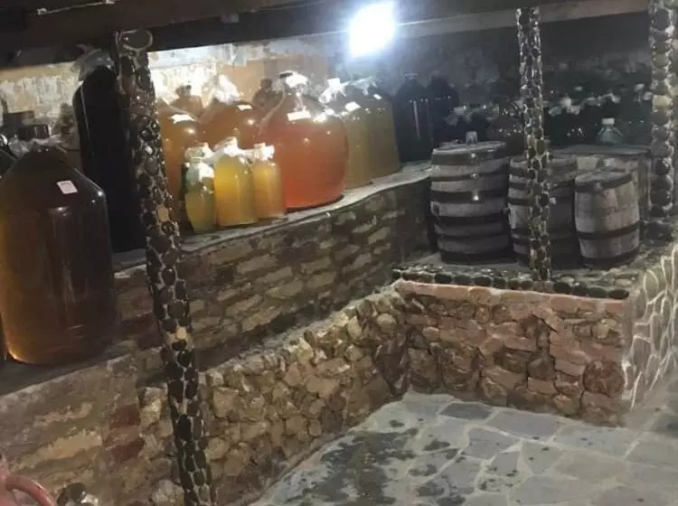 Hostel Saba