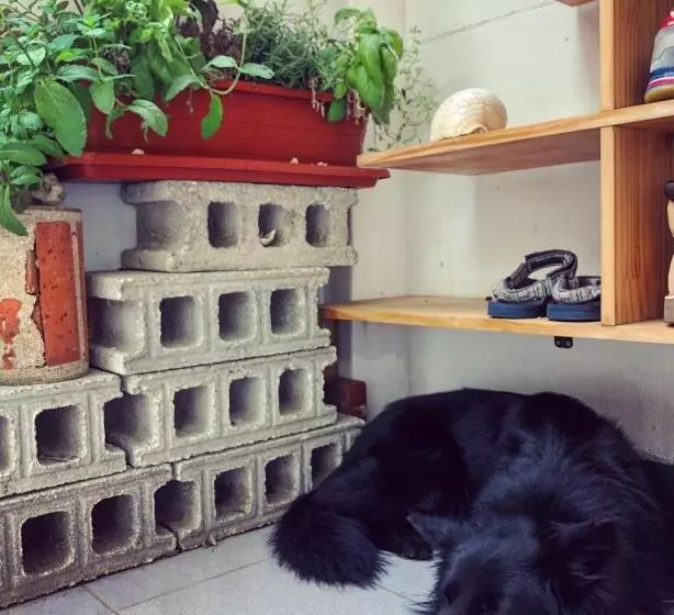 Mu Ju B&b