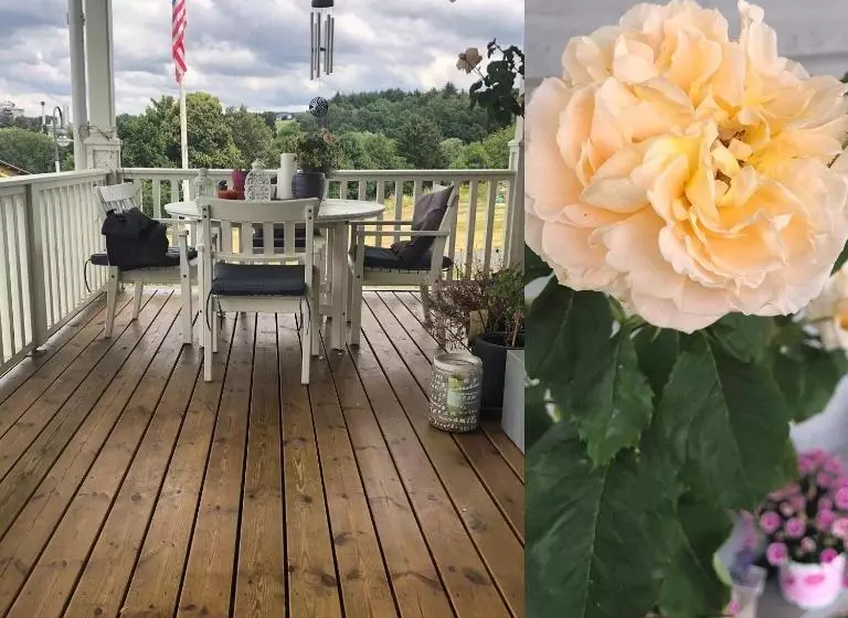 Rosenhill B&b