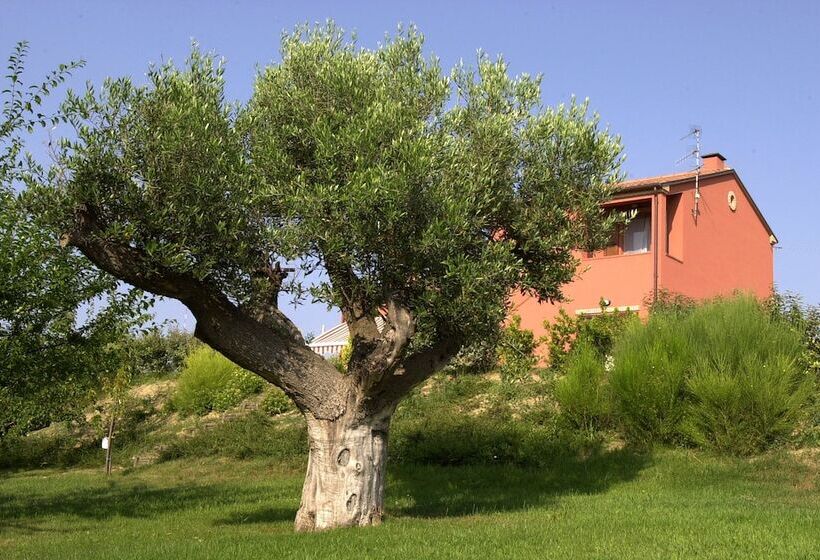 هتل A3passi Agriturismo Tra Gli Ulivi
