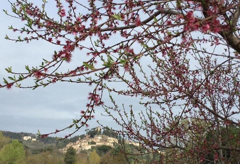 Отель B&b Locanda Toscanini