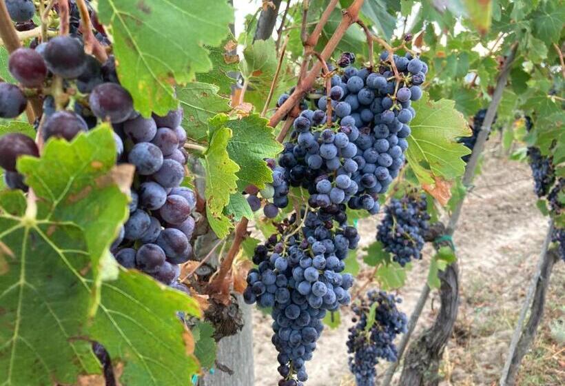 Отель B&b Locanda Toscanini