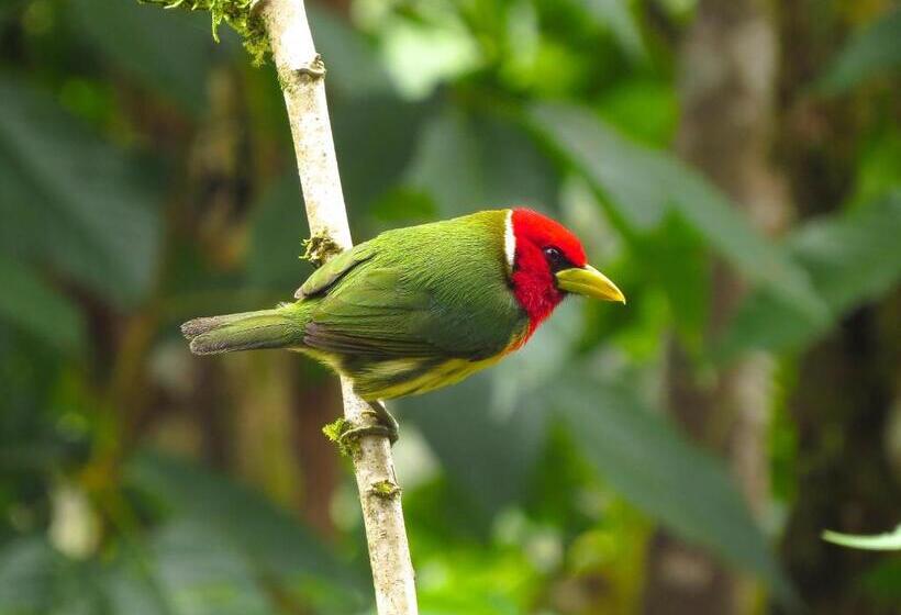 Hotel Casa De Piedra