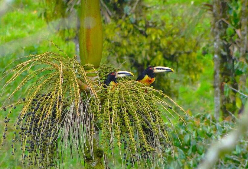 Hotel Casa De Piedra