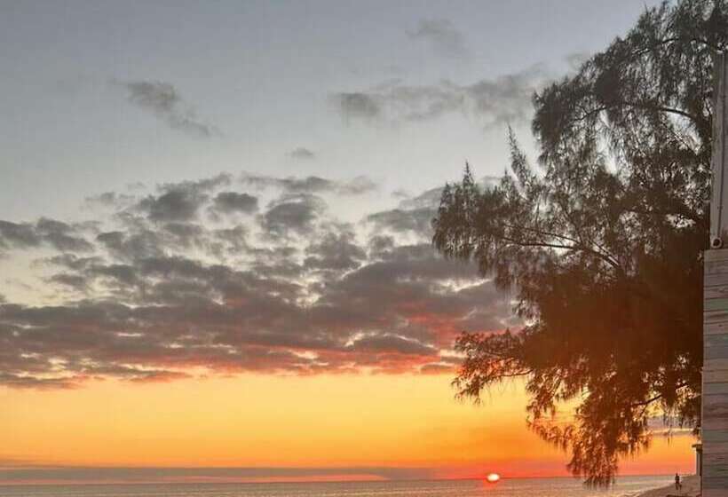 ホテル Coral Harbour Beach House And Villas