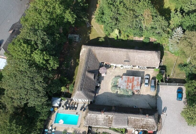 בית מלון כפרי Farm61