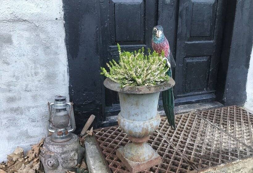 בית מלון כפרי Farm61