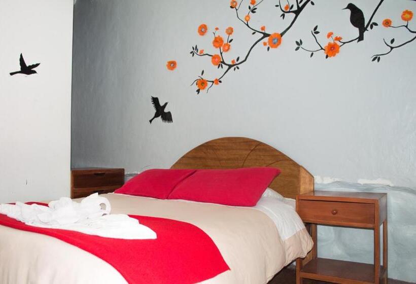 Hotel Pirwa Backpackers Colonial