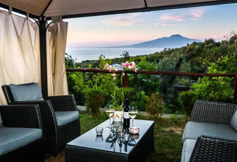 ホテル Villa Rosmary