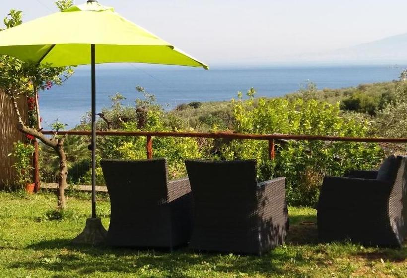 ホテル Villa Rosmary