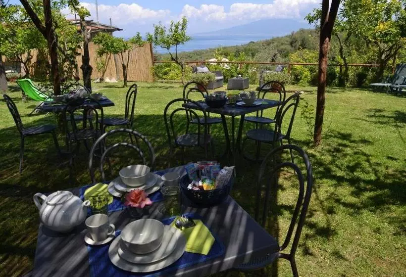 Hotelli Villa Rosmary