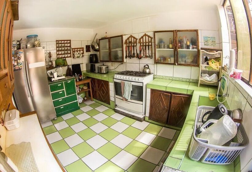 הוסטל Bravo Surf Camp