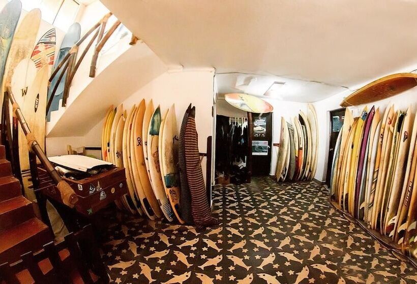 הוסטל Bravo Surf Camp