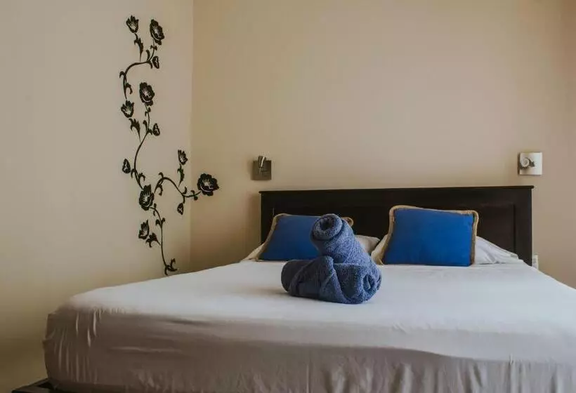 ユースホステル Casa De Lis Hotel & Tourist Info Centre