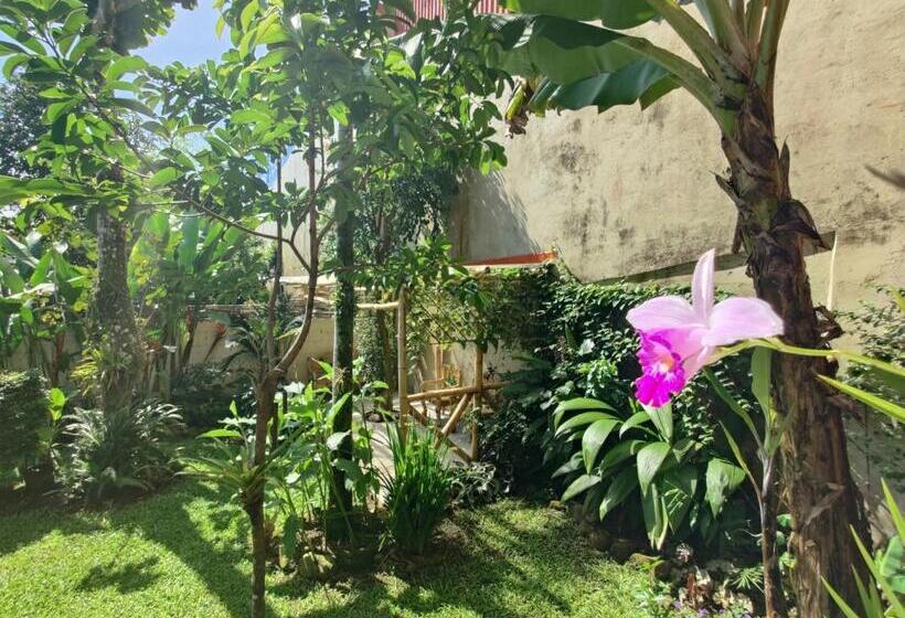 Общежитие Casa De Lis Hotel & Tourist Info Centre