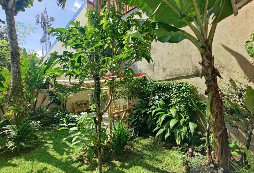 Общежитие Casa De Lis Hotel & Tourist Info Centre