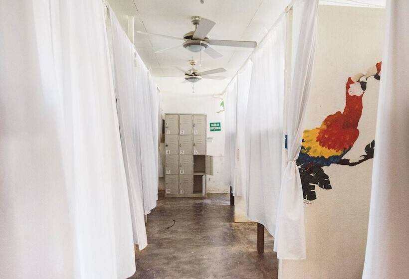 הוסטל Drake Bay Backpackers