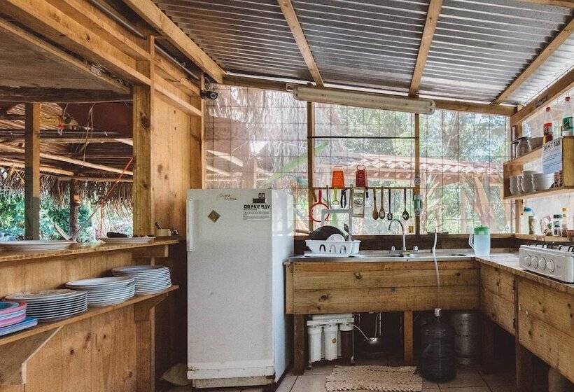 הוסטל Drake Bay Backpackers