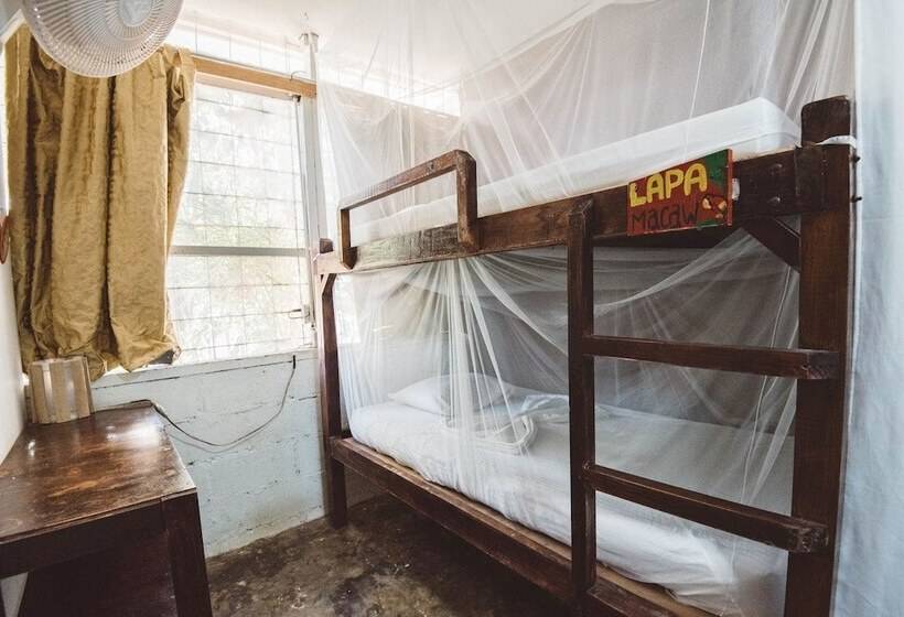 הוסטל Drake Bay Backpackers