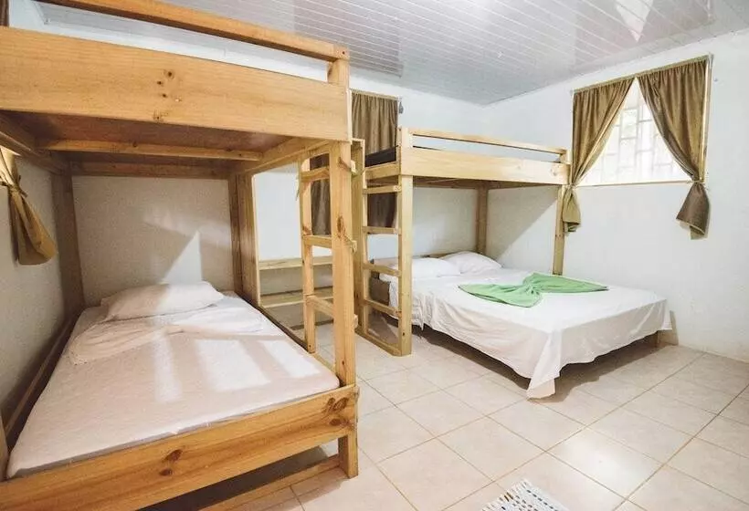 Retkeilymaja Drake Bay Backpackers
