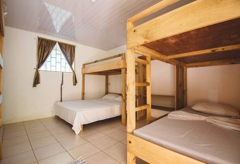 הוסטל Drake Bay Backpackers