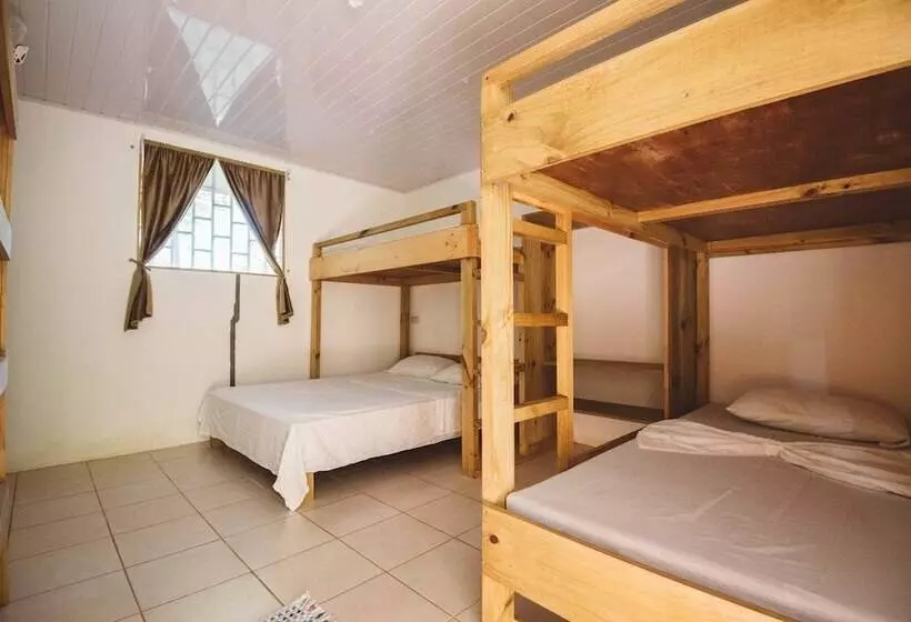 Retkeilymaja Drake Bay Backpackers