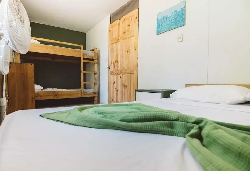Retkeilymaja Drake Bay Backpackers