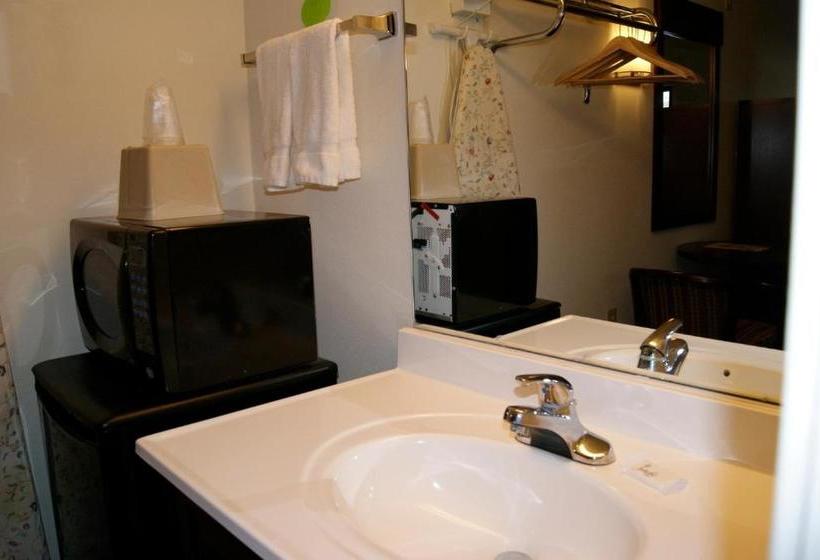 酒店 American Inn And Suites