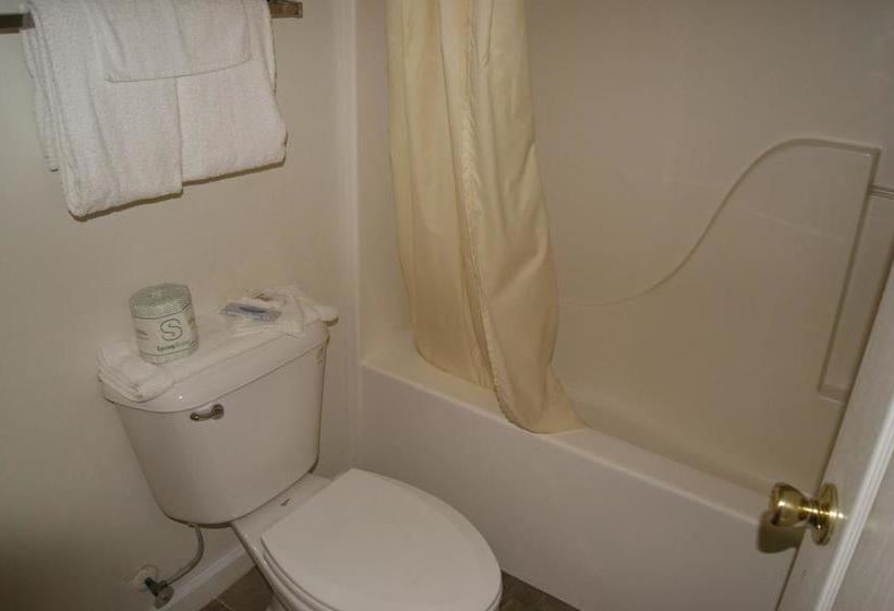 酒店 American Inn And Suites