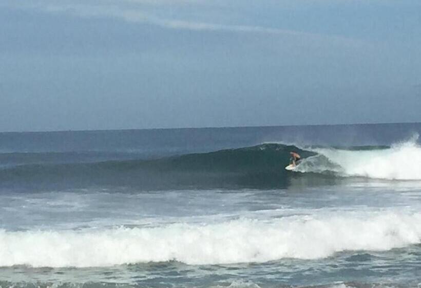 酒店 Beachfront Vista Hermosa