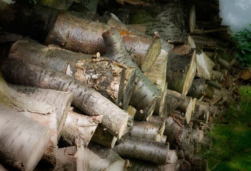 בית מלון כפרי De Oude Brouwerij