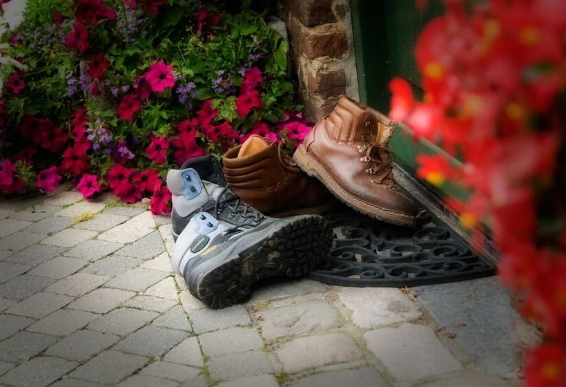 בית מלון כפרי De Oude Brouwerij