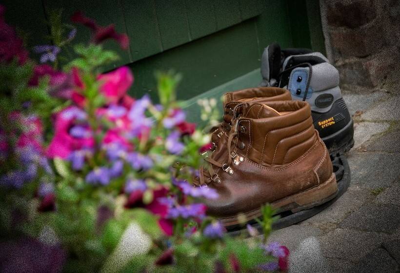 בית מלון כפרי De Oude Brouwerij