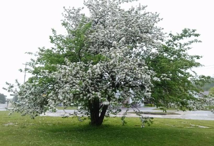 Отель Huron Inn