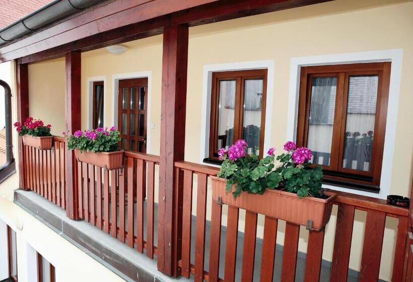 בית מלון כפרי Pelikán