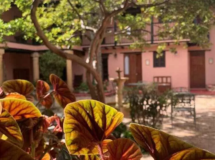 هتل Plazuela De San Agustín