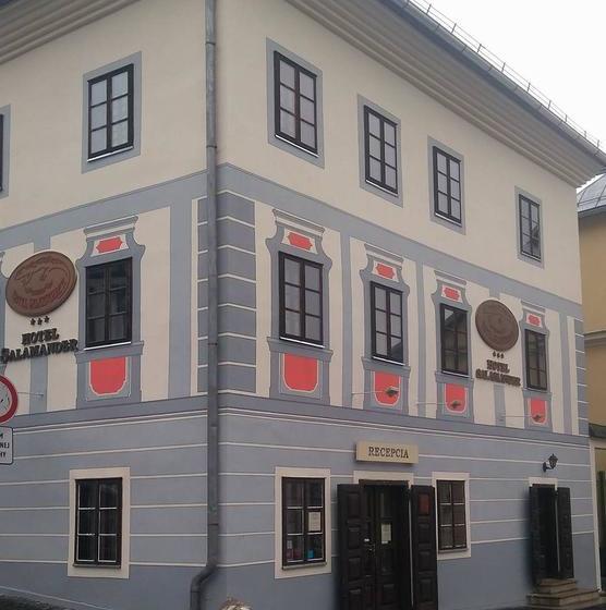 ホテル Salamander