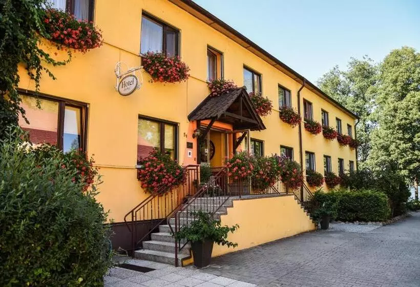 هتل Seehof Netzen