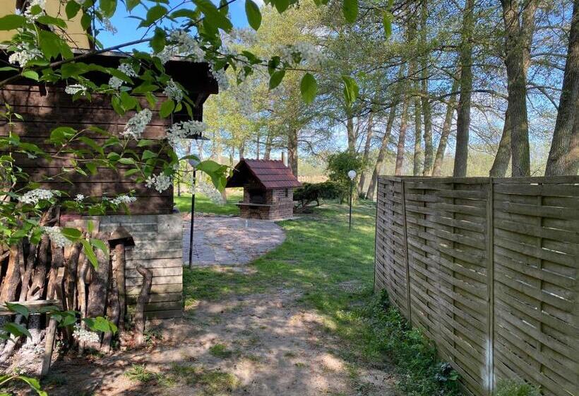 Hotelli Seehof Netzen