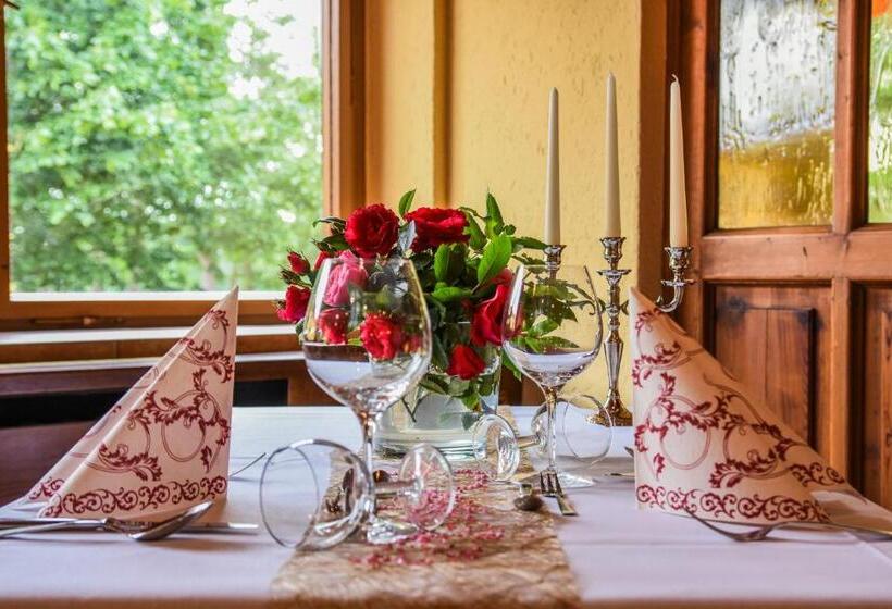 Hotelli Seehof Netzen